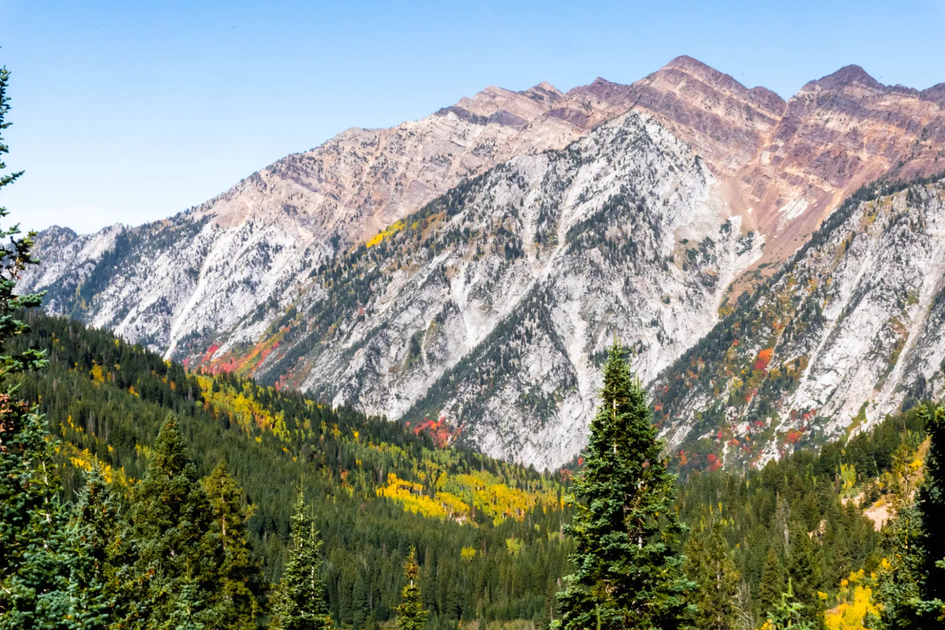 Limestone and iron-oxide faces of the Wasatch Range above conifers and autumn foliage